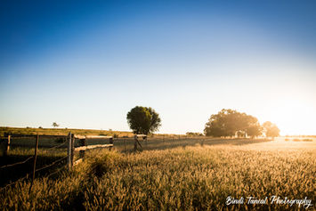 Facebook | April 2017