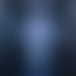 Fallas de la Inteligencia Artificial en el Peritaje Judicial del Tipo Económico, Reflexiones y Responsabilidades