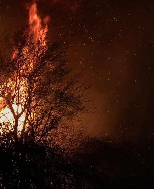 Las pavesas como mecanismo de generación de incendios secundarios