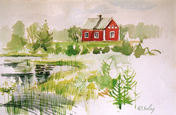 vers_Arvidsjaur_(Laponie_suédoise)_149-A