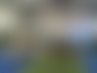 Building a Community within Your Business: Through the Eyes of an Intern