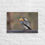 Thumbnail: Yellow Billed Hornbill on Canvas