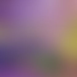 IL BRUCO E LA FARFALLA