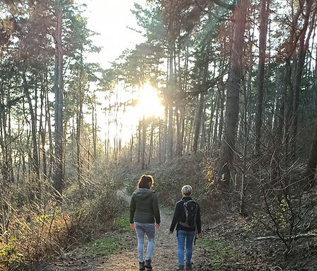 Einzelcoaching im Wald