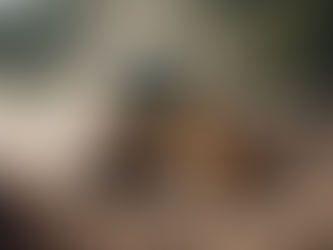 Professional Earth Moving Solutions in Perth - B & G