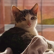 A156DD6B-2EC9-4EAB-A32D-C7626D5C4DB7 - Modifié.jpg