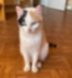 MIMI