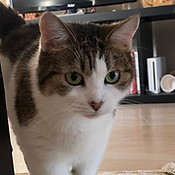 WhatsApp Image 2025-08-17 at 20.52.56.jpeg