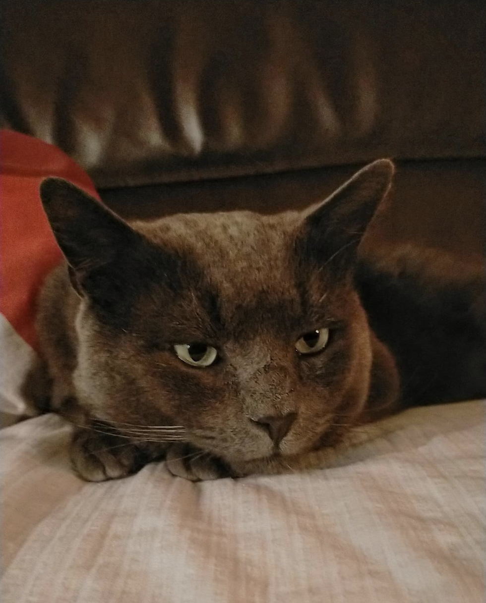 IGOR