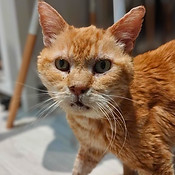 F4AFA156-F6C7-4ED3-ACBE-80FBD35F3DFB - Modifié.jpg