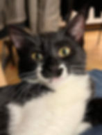 KETTY