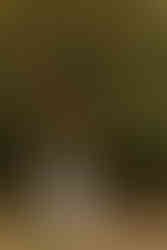 Groom lifting bride for an embrace at Annapolis Maritime Park