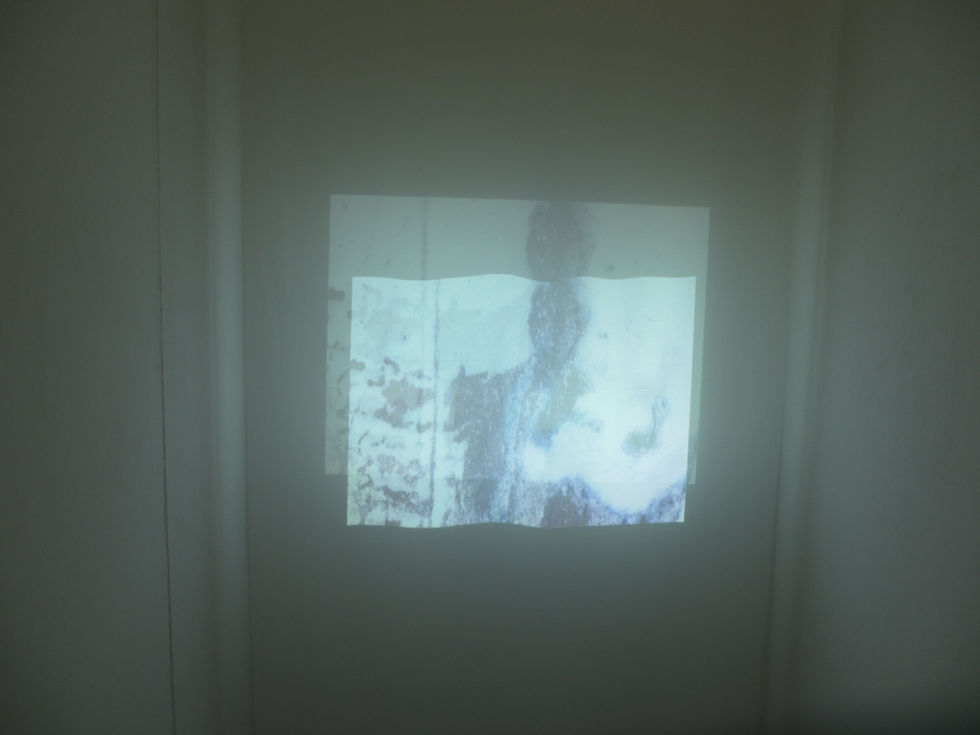 Ceri Thompson                                               www.cerithomson.com