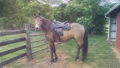 Bomber's Rocker 1.jpg