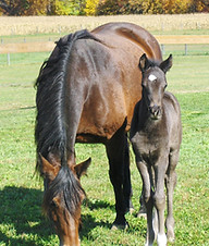 122572273_10222798766133737_446823072352