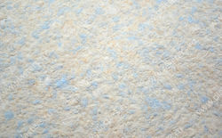 ЭЙР ЛАЙН №613