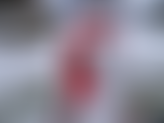 Frohe Weihnachten und einen guten Rutsch ins neue Jahr!