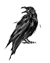 image_2022-12-04_000850.png