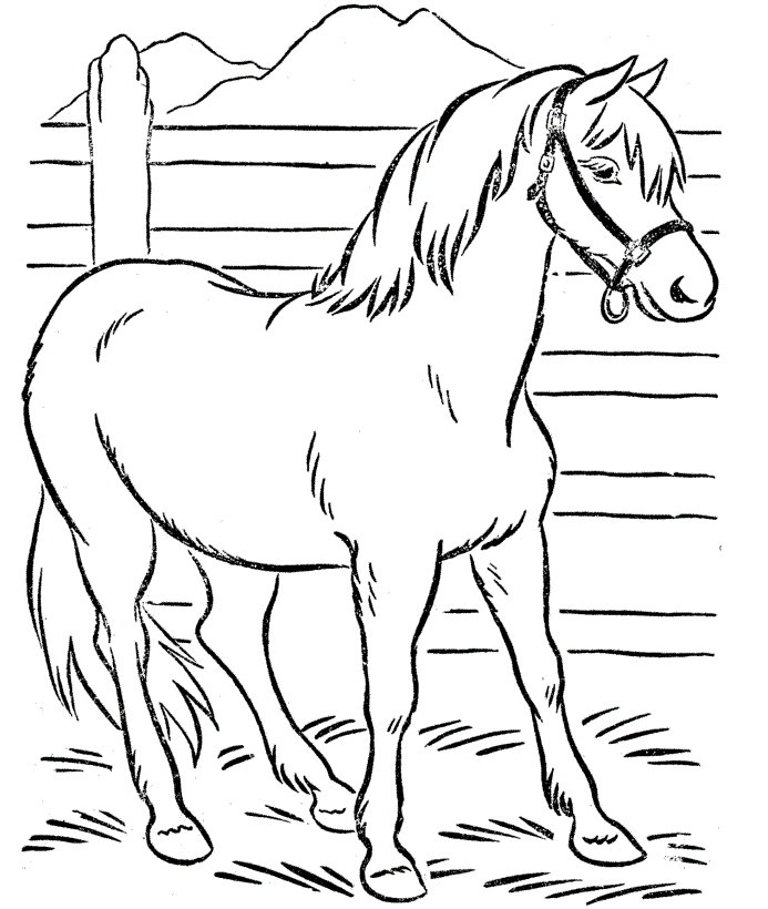 Free-Horse-Coloring-Pages-For-Kids.gif