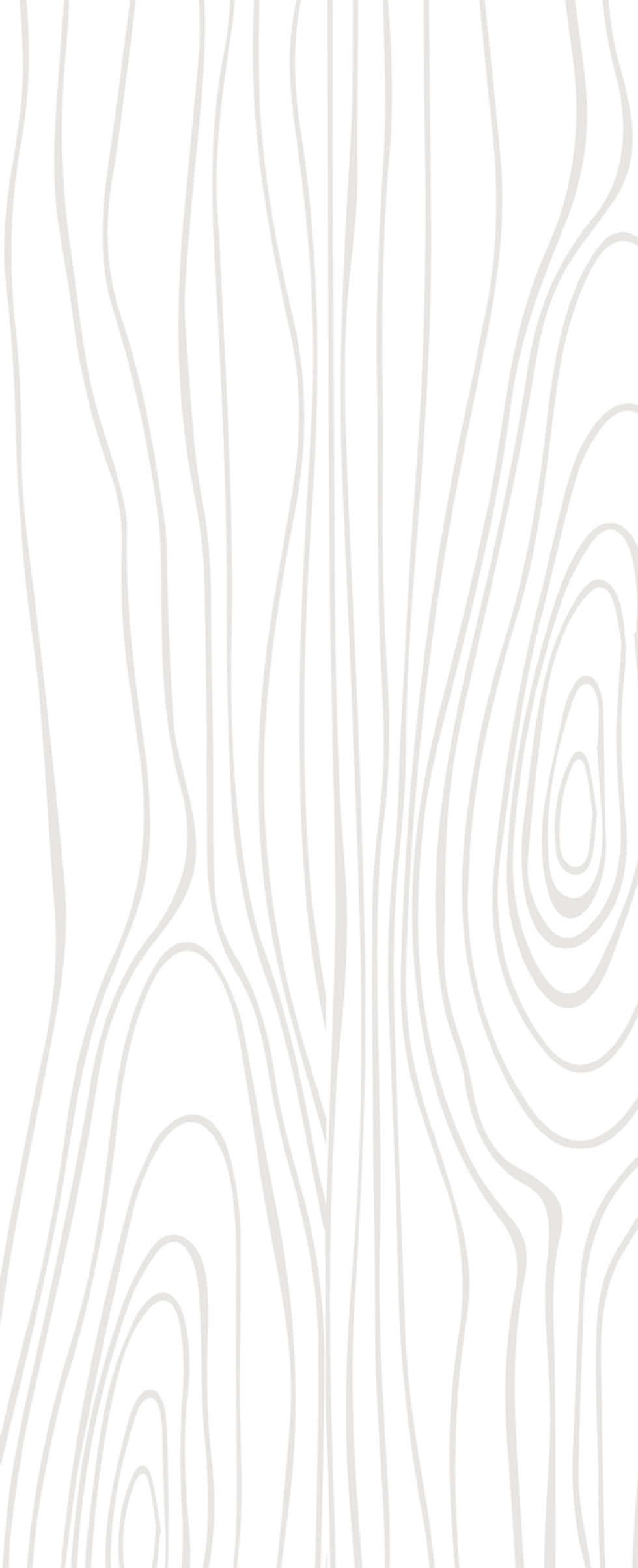 FONDO1_Mesa de trabajo 1.jpg