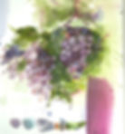 Luer_Vineyard
