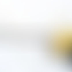 Онлайн‑сервис для передачи газовых сетей в областную собственность запустили в Подмосковье