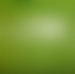 Нацпроект Туризм