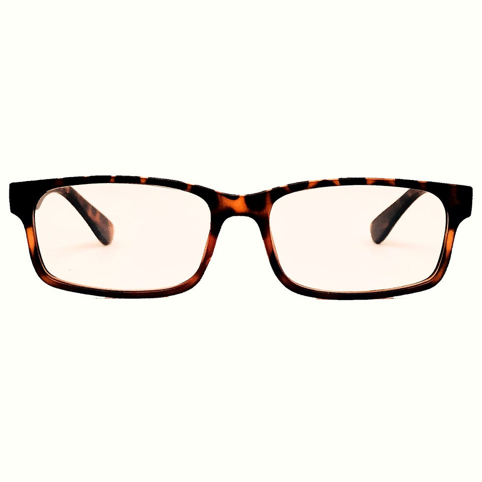 Miniatura: Jimmy - Tortoise