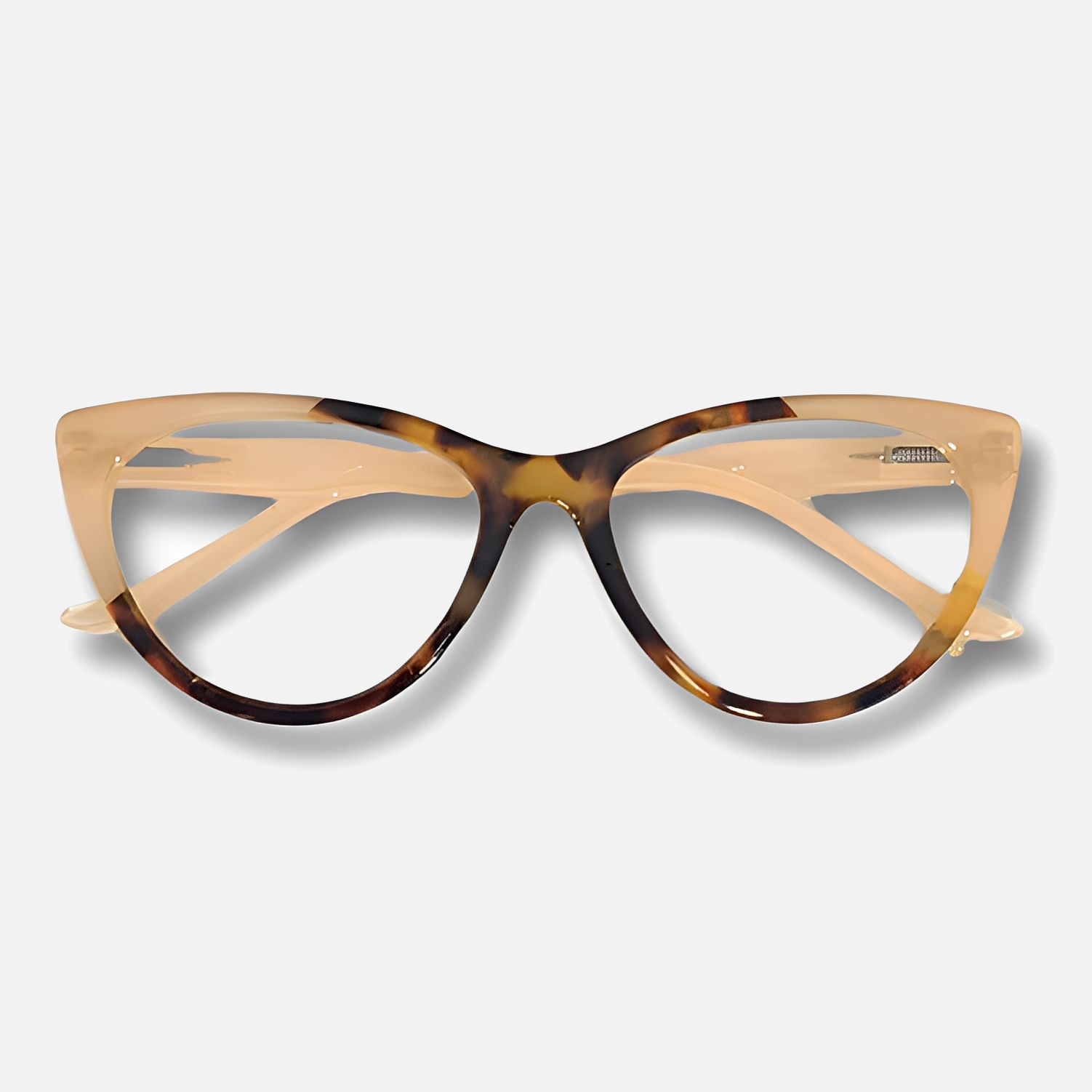 Naomi - Tortoise and Salmon