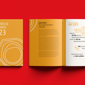 Relatório de atividades Instituto Chamex