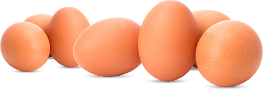 As Sure As Eggs Is Eggs 🥚