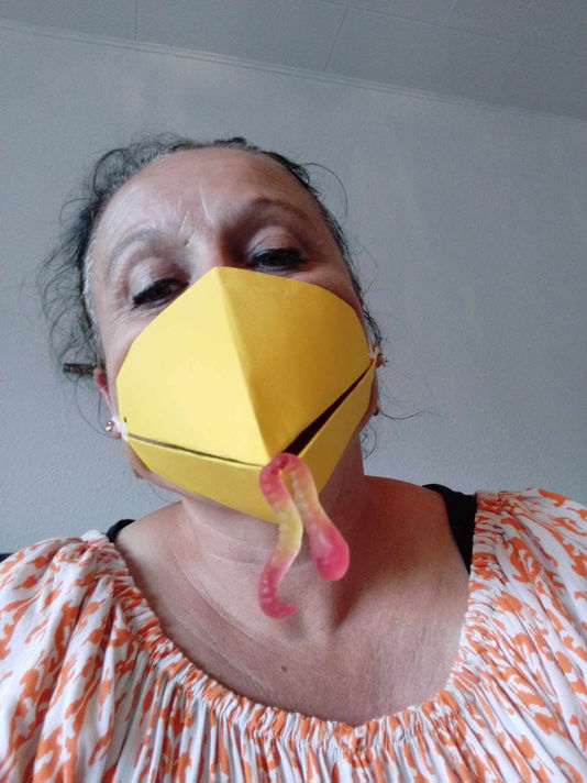 Guest Blog - Cardboard Beaks