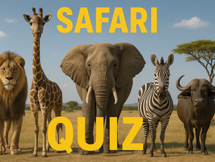 Safari Quiz 🦁