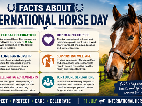 'International Horse Day' š“ 11 July
