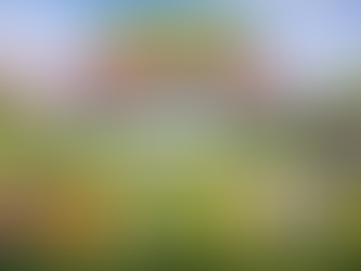 Spring Memory Quiz & Singalong