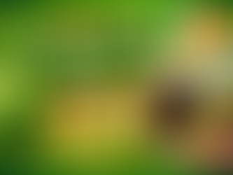 St. Patrick's Day - March 12 