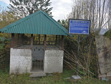 Nenchang Dulyang Stone : Old Ziro