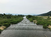 真名川S.jpg