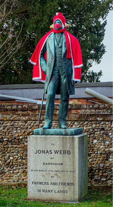 Covid Jonas Webb.png