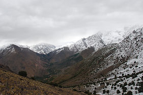 DSC_2987.JPG