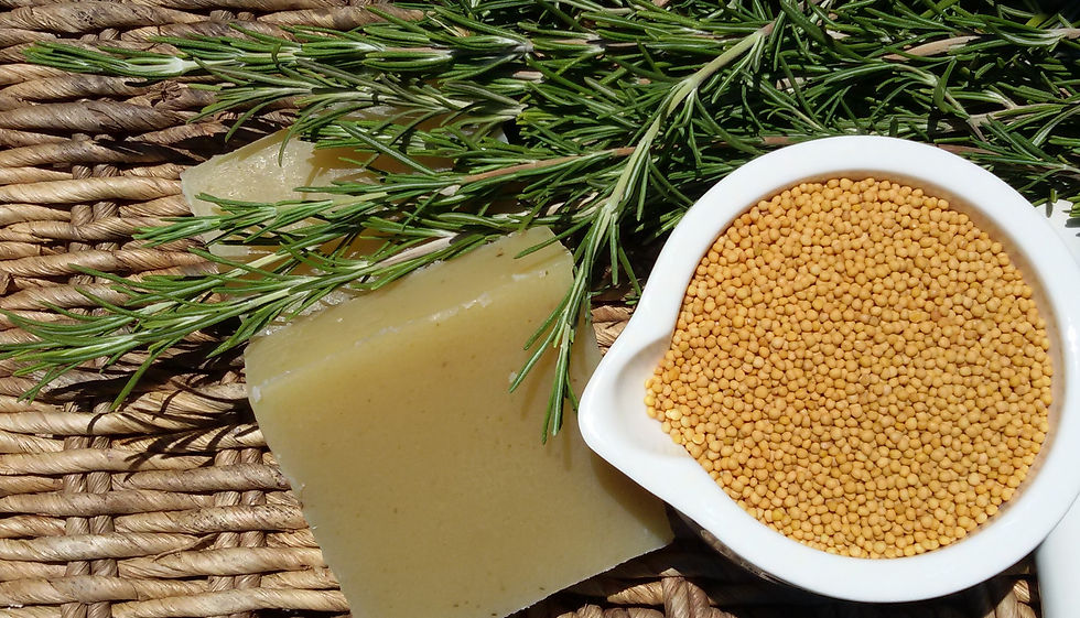 mustard seed oil natural hand made soap made with jordan river water inspired by the parable of the mustard seed