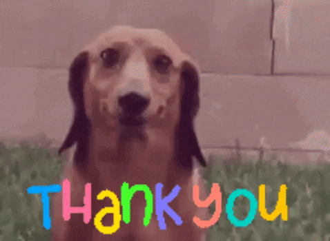 thank you.gif