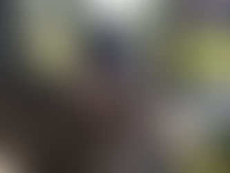 Nossa primeira cria – Ninhada