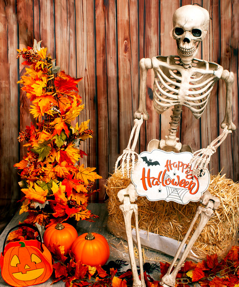 SkeletonPosed.jpg