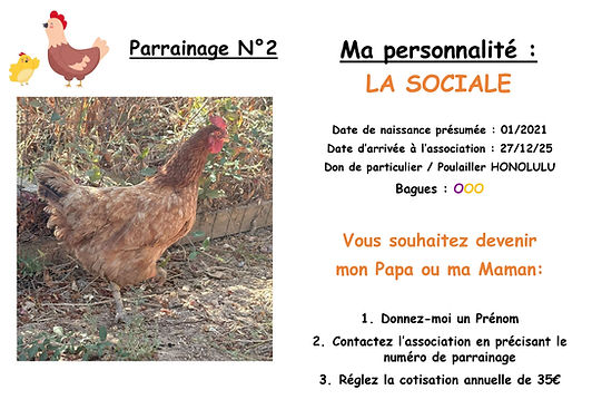 LA SOCIABLE.jpg