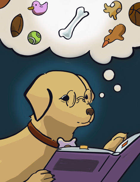  Dogs Know Words About Their Favorite Toys