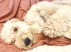 wilma cute_edited