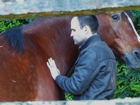 When the horse whispers back