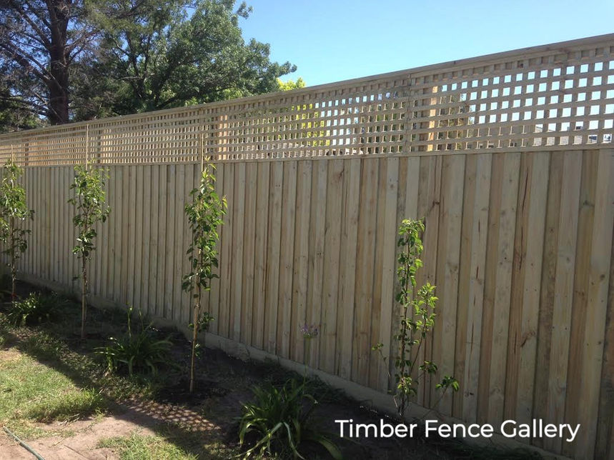 Timber paling fence with lattice for privacy
