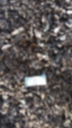 Pine Mulch